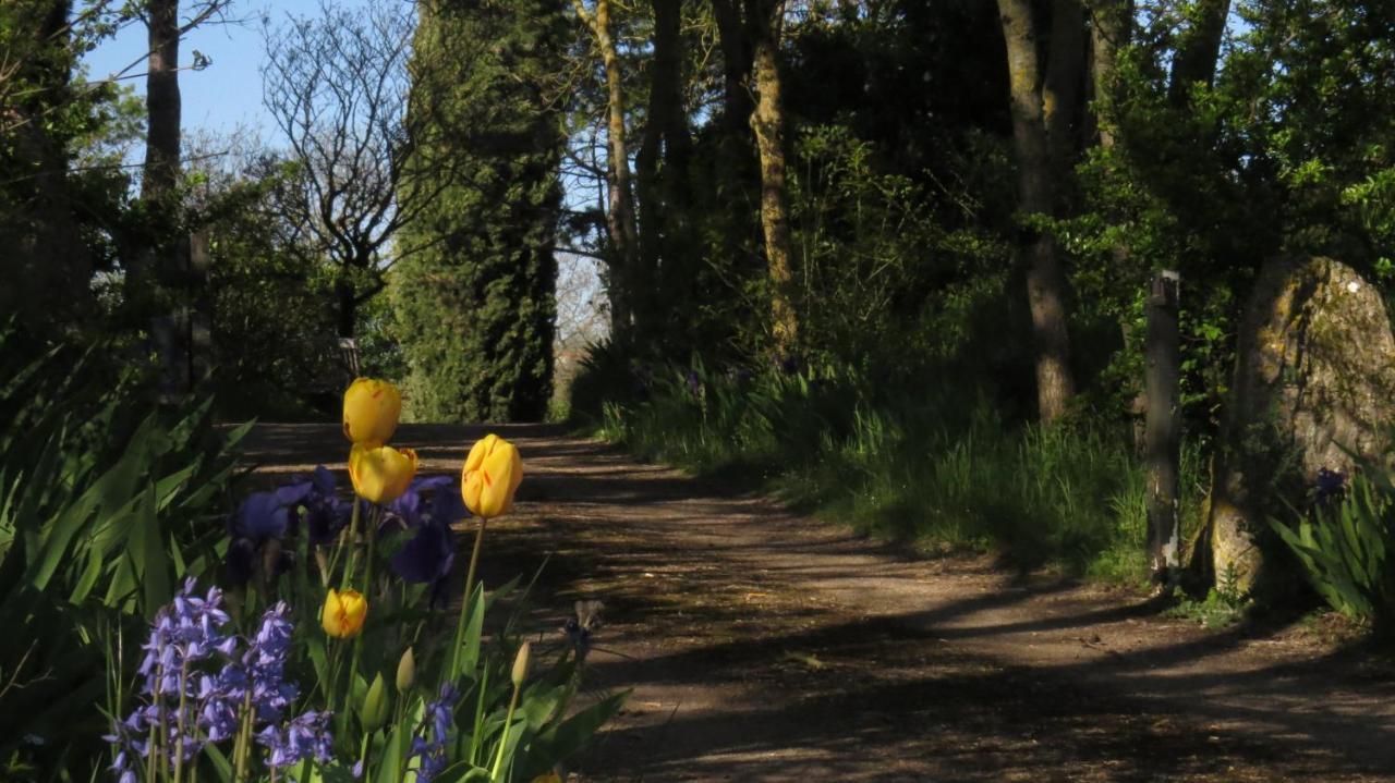 Nature'S Pace Holidays Montmaur  Bagian luar foto