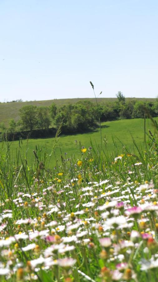 Nature'S Pace Holidays Montmaur  Bagian luar foto