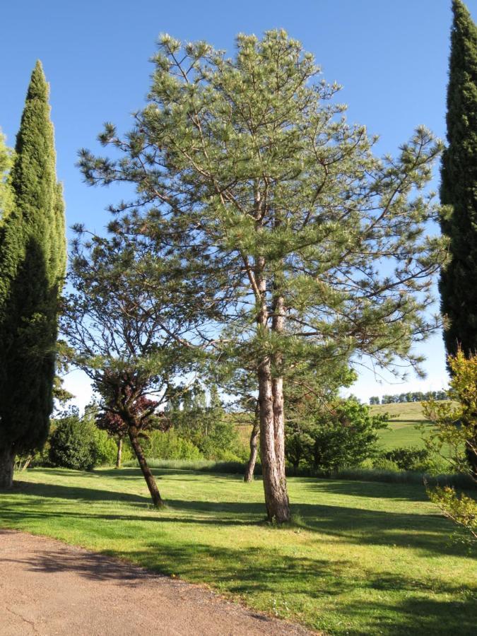 Nature'S Pace Holidays Montmaur  Bagian luar foto