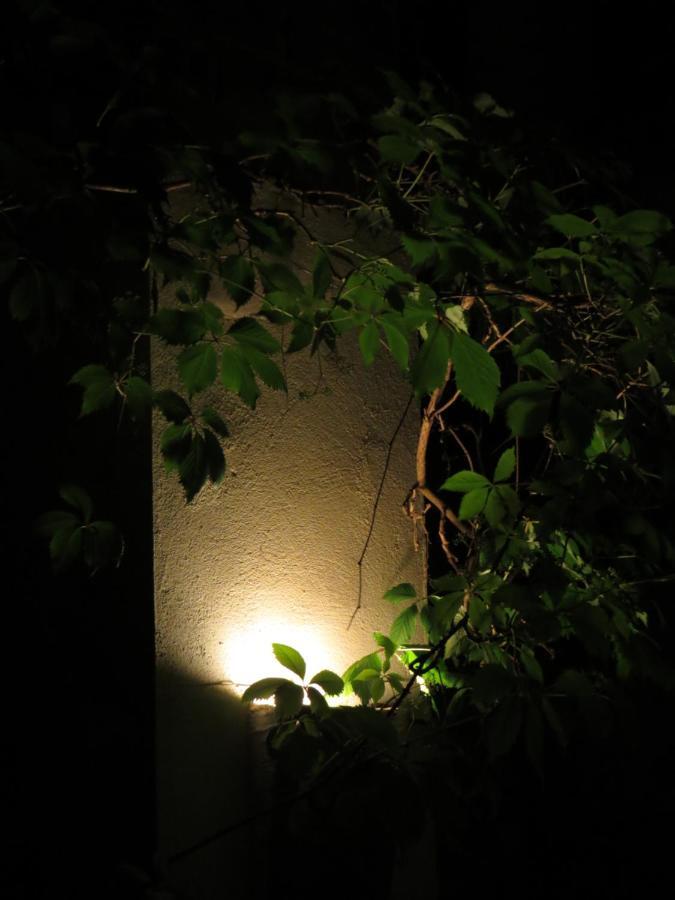 Nature'S Pace Holidays Montmaur  Bagian luar foto